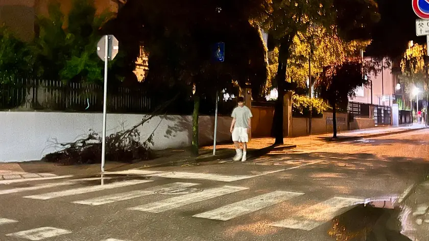 I rami d’albero spezzati in via Balliana