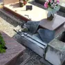 Le sepolture danneggiate in cimitero a Carlino