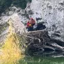 L'animale è stato salvato dai pompieri. (foto vigili del fuoco)