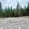 L'area in cui sono stati rinvenuti i corpi