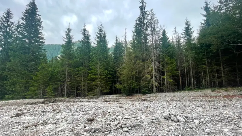 L'area in cui sono stati rinvenuti i corpi