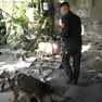 L'operazione in Borgo Stazione