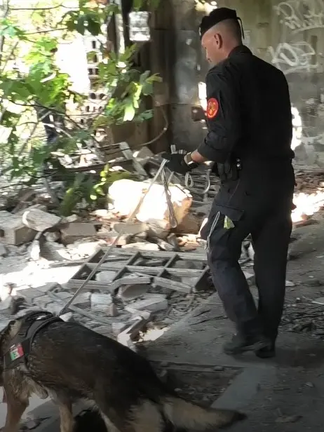 L'operazione in Borgo Stazione