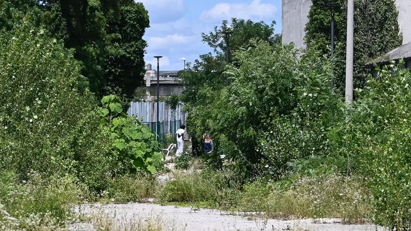 Via Castelfidardo, a due passi dall’ospedale Gervasutta, è una delle zone in cui il passaggio di droga tra spacciatori e clienti avviene più di frequente (Petrussi)