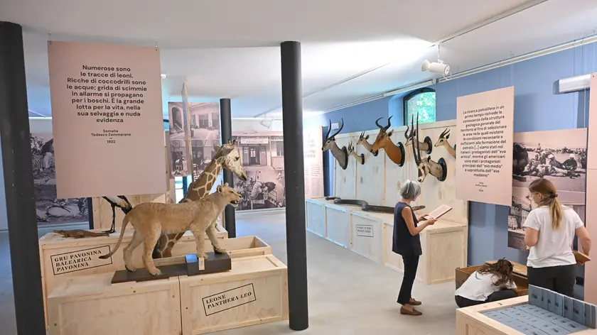 https://images.messaggeroveneto.it/view/acePublic/alias/contentid/1s79s4e0oeuc5ltakpu/0/copia-di-udine-3-luglio-2026-mostra-museo-via-sabbatini-foto-petrussi.webp?f=16%3A9&amp;w=840
