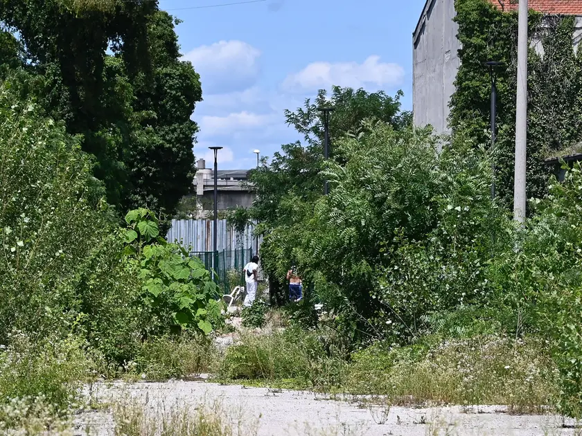 Via Castelfidardo, a due passi dall’ospedale Gervasutta, è una delle zone in cui il passaggio di droga tra spacciatori e clienti avviene più di frequente (foto Petrussi)