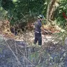 I vigili del fuoco in azione