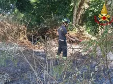 I vigili del fuoco in azione