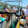 Il posizionamento del dissuasore su una delle reste