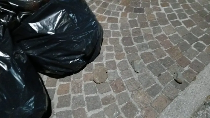 Lanciati sanpietrini e pietre a Udine