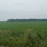 La presunta area, nella zona industriale di San Giorgio, dove si punta a realizzare il termovalorizzatore che è stato contestato dalla comunità
