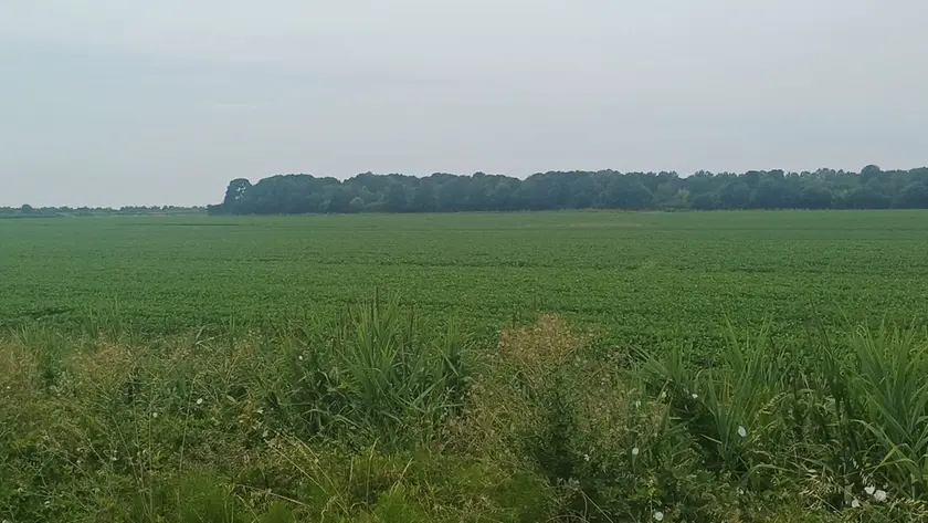 La presunta area, nella zona industriale di San Giorgio, dove si punta a realizzare il termovalorizzatore che è stato contestato dalla comunità