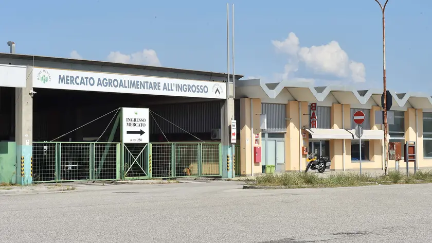 Il mercato ortofrutticolo ha sede in piazzale dell’Agricoltura (foto Petrussi)