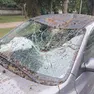 Un'auto danneggiata da un ramo in via Diaz. Foto Petrussi
