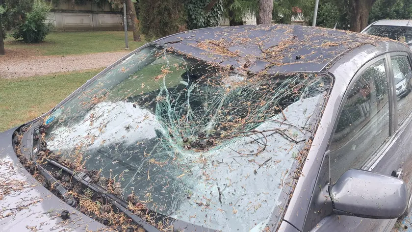 Un'auto danneggiata da un ramo in via Diaz. Foto Petrussi