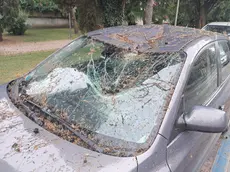 Un'auto danneggiata da un ramo in via Diaz. Foto Petrussi