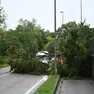 Un albero finito in strada a Pasiano di Pordenone