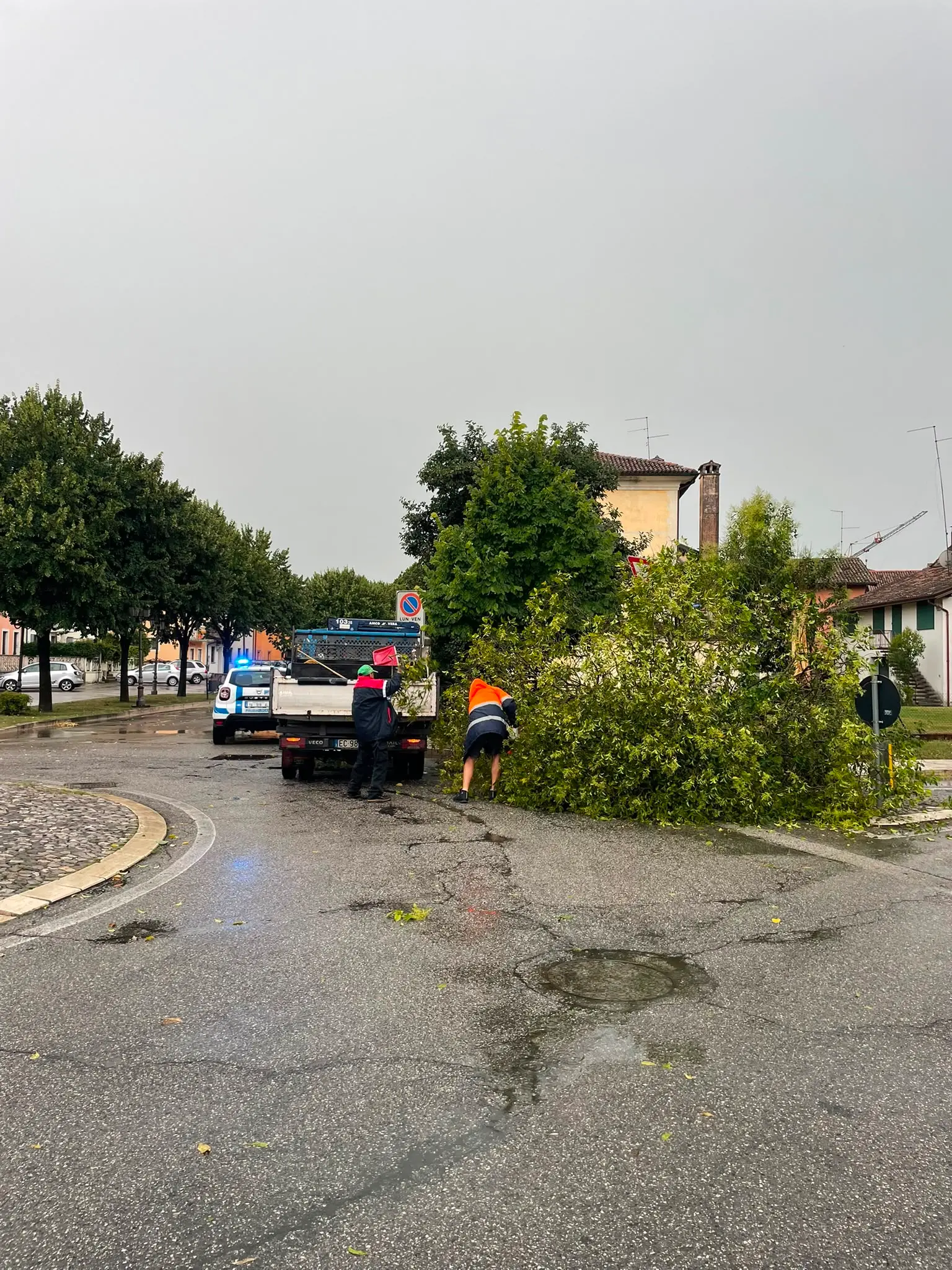 Albero caduto a Valvasone Arzene