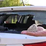 Una delle auto vandalizzate nelle ultime settimane