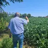 Un residente indica il punto in cui si trovava Asquini quando è stato colto dal malore (foto Petrussi)