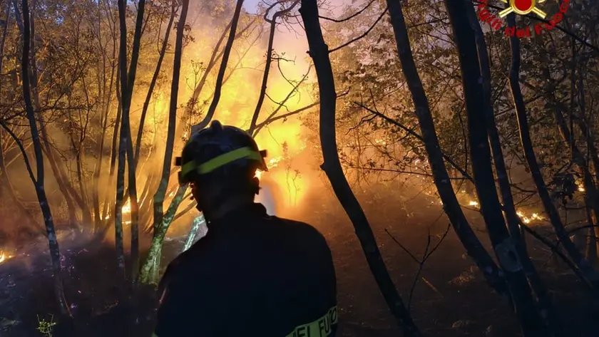 L'incendio sul Carso