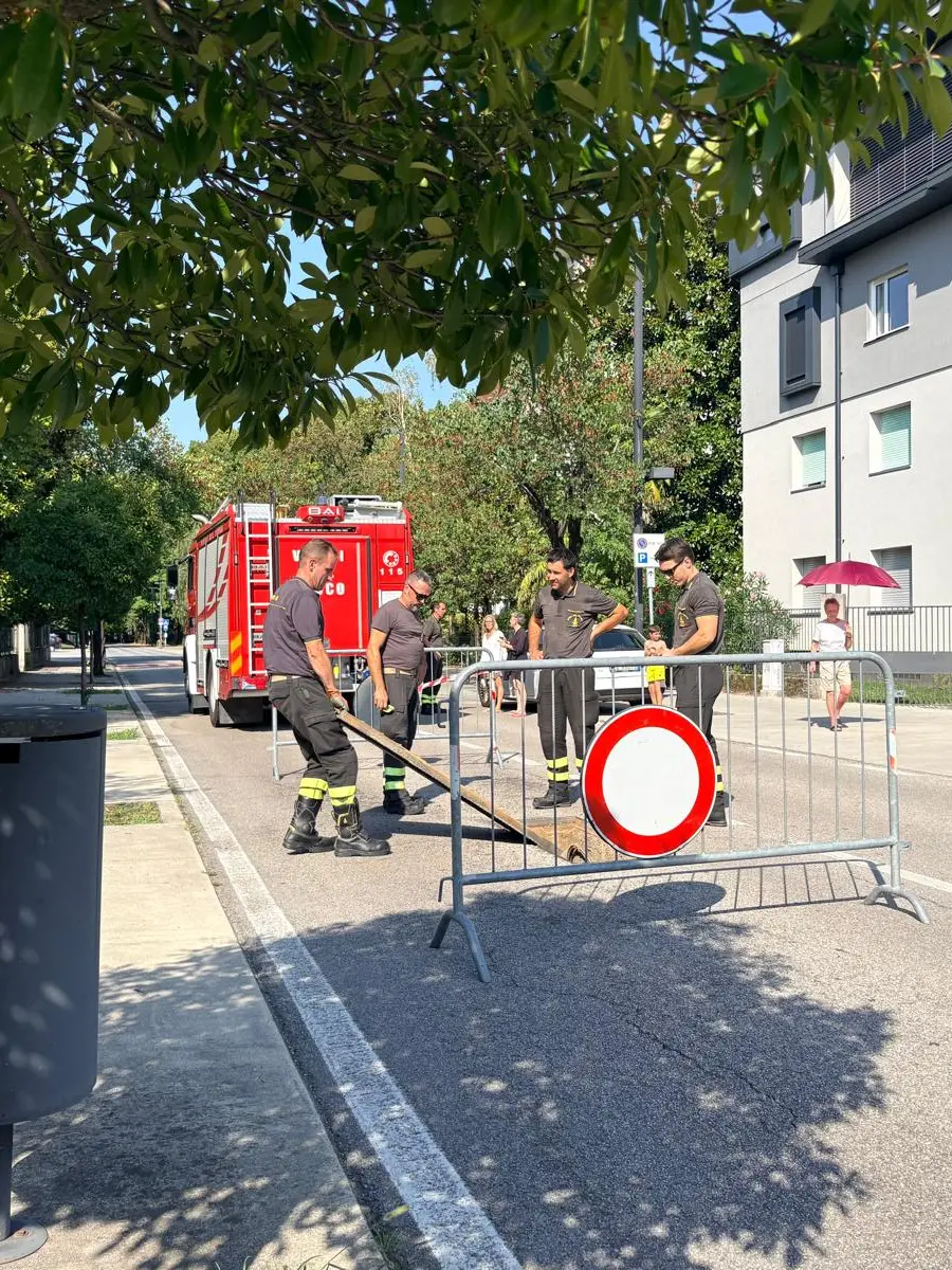 I vigili del fuoco sono intervenuti per mettere in sicurezza l'area