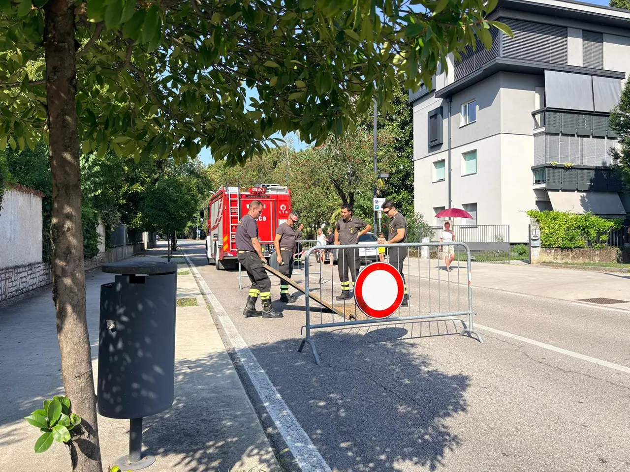 I vigili del fuoco sono intervenuti per mettere in sicurezza l'area