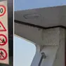L'invasione dei moscerini a Lignano