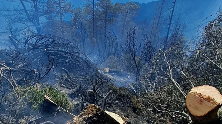 https://images.messaggeroveneto.it/view/acePublic/alias/contentid/1suue4rwjy1dil4pt5p/0/malborghettoincendio2.webp?f=16%3A9&amp;w=840