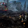 La vegetazione distrutta dalle fiamme