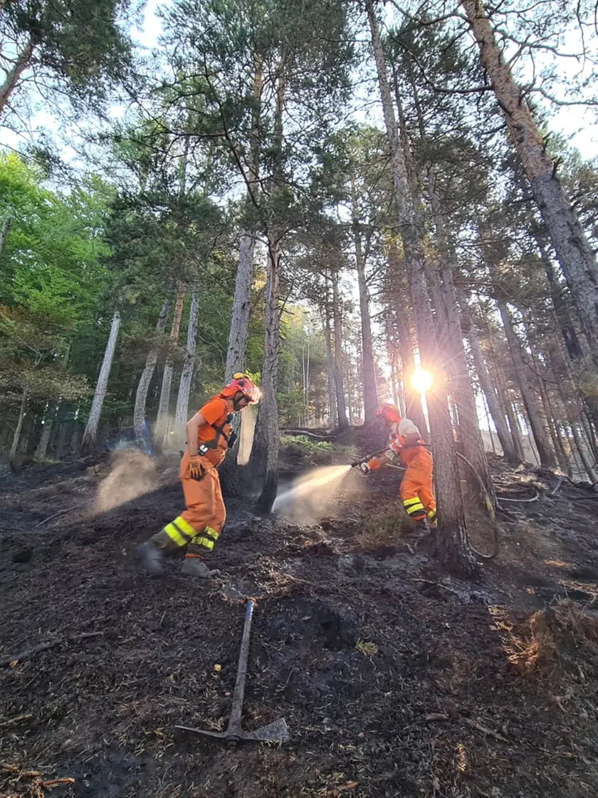 Personale del Corpo forestale regionale al lavoro sul luogo dell'incendio