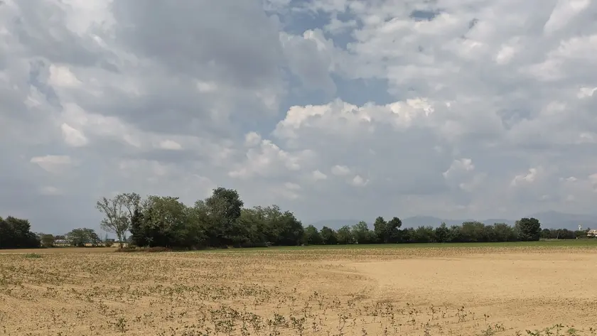 Campi in comune di Pradamano vicino al canale Trivignano ormai chiuso e quindi senza acqua