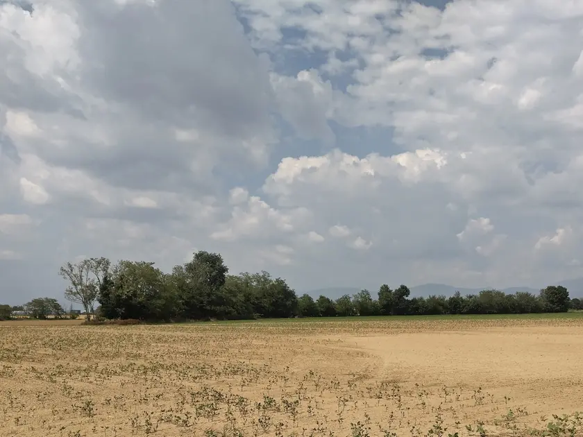 Campi in comune di Pradamano vicino al canale Trivignano ormai chiuso e quindi senza acqua