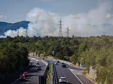 Il fumo durante uno degli ultimi incendi in Carso (foto Andrea Lasorte)