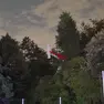 L'aereo incastrato tra gli alberi