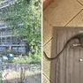 Il parco di Villa Ballico a Codroipo, dove sono in corso i lavori di ristrutturazione, e, a destra, uno dei topi fotografati dai residenti