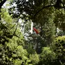 L'aereo ancora incastrato tra gli alberi