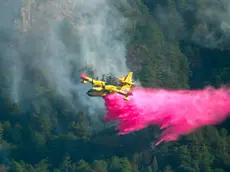 Il canadair in azione in Carnia (Foto Andrea Piussi)