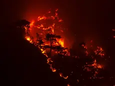 Gli incendi in Carnia in una foto di Chiara Bettiga