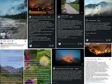 Gli screenshot dei social sugli incendi in Carnia