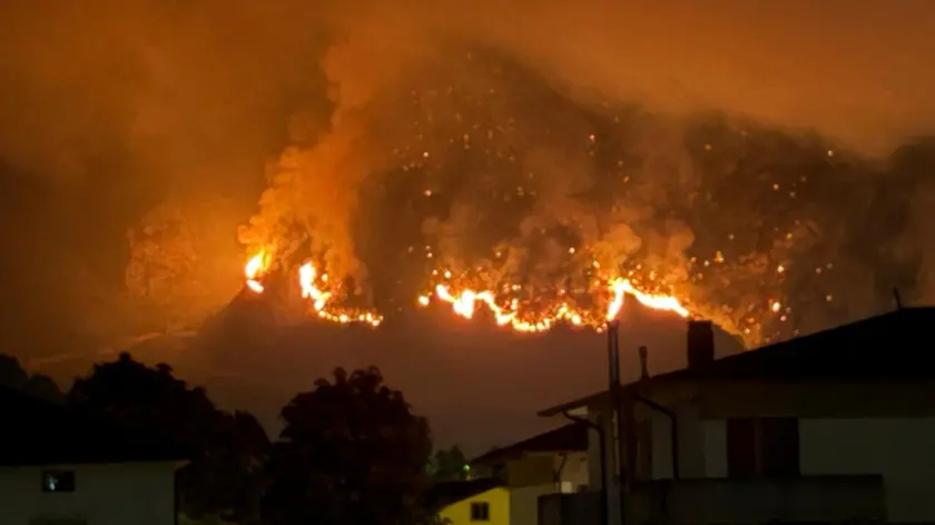 https://images.messaggeroveneto.it/view/acePublic/alias/contentid/1t5jwybfih0fmp8lbw7/0/whatsapp-image-2026-08-16-at-11-31-56-1-jpeg.webp?f=16%3A9&amp;w=840
