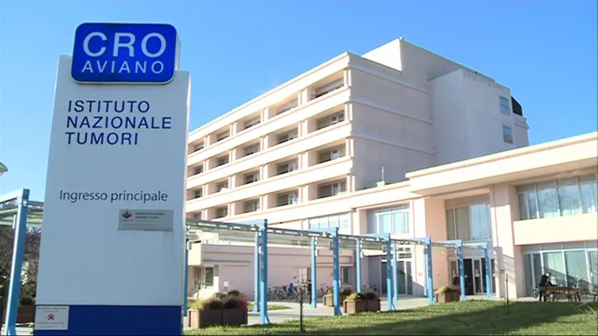 L’ingresso del Cro di Aviano