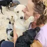 Molto spesso i cani vengono presi e portati a casa: ma una volta accolti ci si accorge dell'impegno nel mantenimento