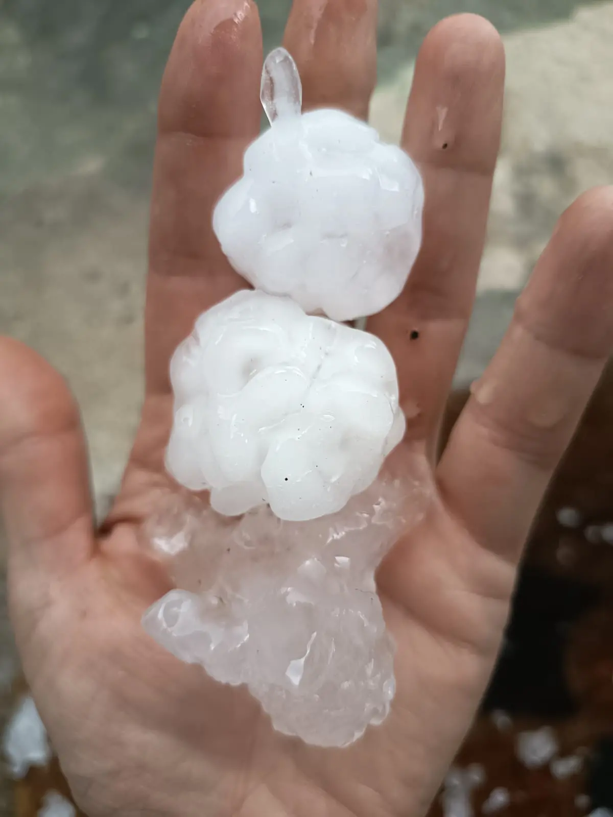 I grossi chicchi di grandine in Val Tramontina
