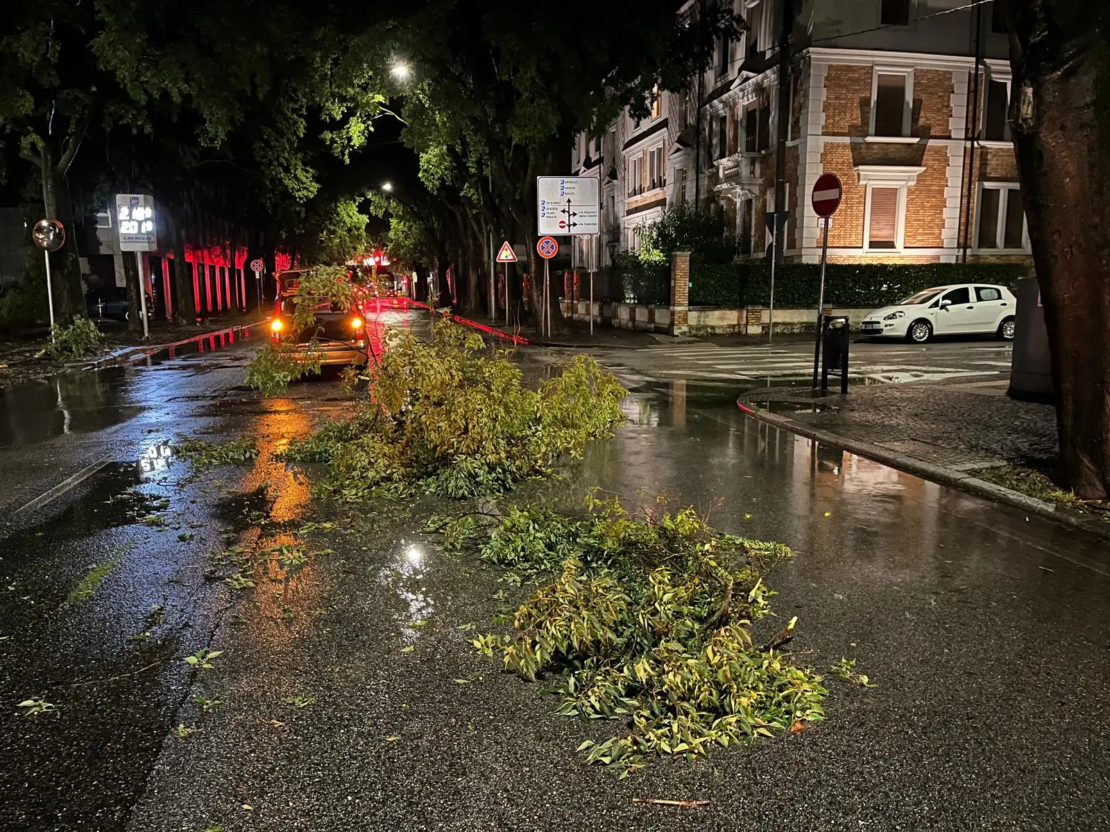 Un ramo finito in strada in via Caccia