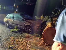 Un grosso albero caduto su un'auto a San Giorgio della Richinvelda