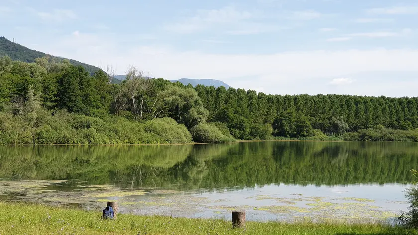 Uno scorcio del fiume Tagliamento.