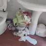 Le foto dei turisti mostrano cestini stracolmi e bagni sporchi