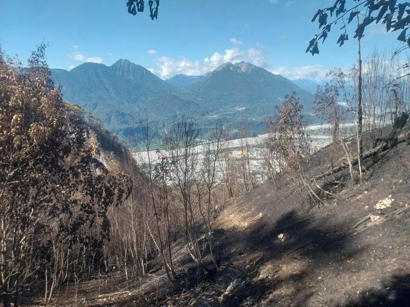 I danni provocati dai roghi delle scorse settimane su Amariana e Amarianutte nelle foto concesse dal Cai di Tolmezzo