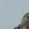 Il recupero con l'elicottero sullo Jof di Montasio